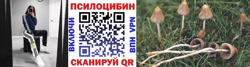 Галлюциногенные грибы MAGIC MUSHROOMS  Купить  Богородицк 